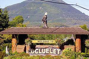 Welcome to Ucluelet. Drive to Ocean Mist Guesthouse, Highway 4, Ucluelet, BC