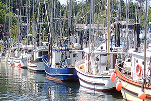Harbour Boats, Ucluelet, Ocean Mist Guesthouse, Ucluelet BC