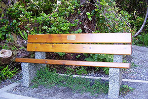 Relax on a Bench, Wild Pacific Trail, Ocean Mist Guesthouse, Ucluelet, BC